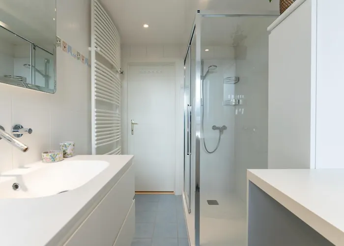 Pura Vida With Private Parking By Interhome * De Haan